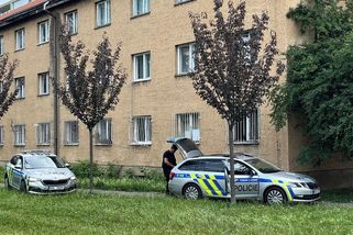 U učitele, který mířil na školu do Čelákovic, našli dvě dlouhé zbraně a nože - Seznam Zprávy